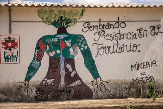 © Paola Tamayo 