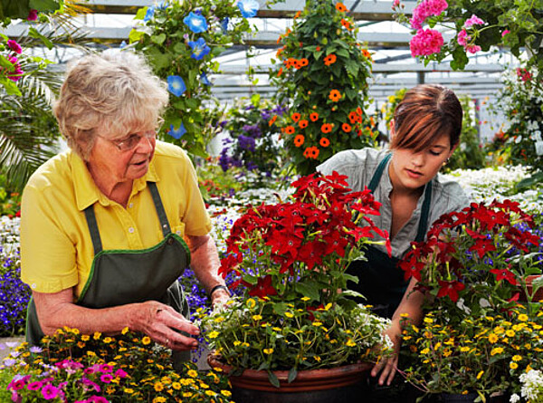 Bildquelle: Ingo Bartussek – stock.adobe.com