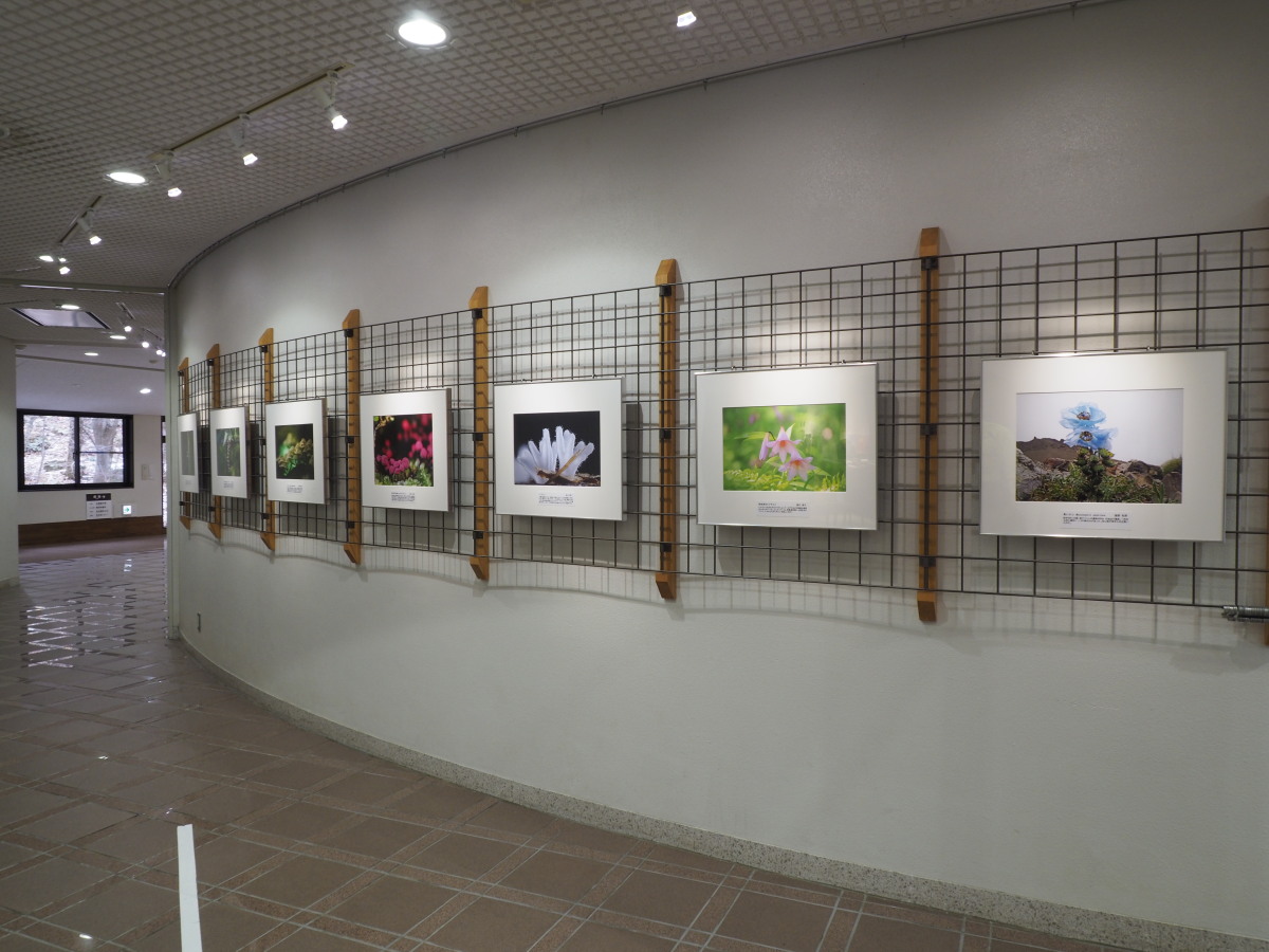 各壁面の定位置に置かれた写真パネルです。
