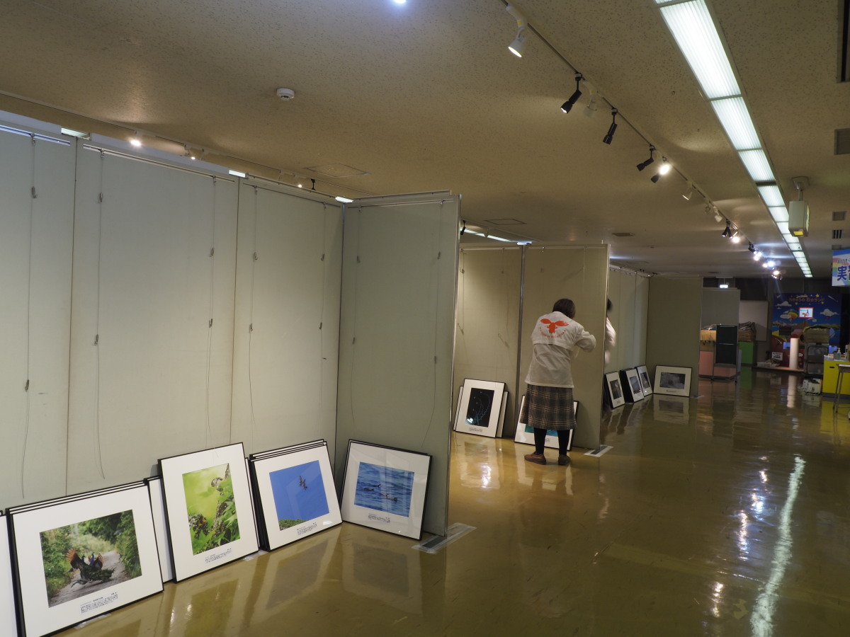 箱から取り出し額に入れて、壁面展示を待つ作品です。
