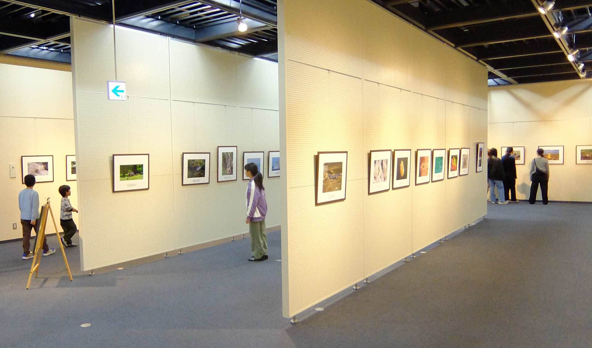 展示会場の様子