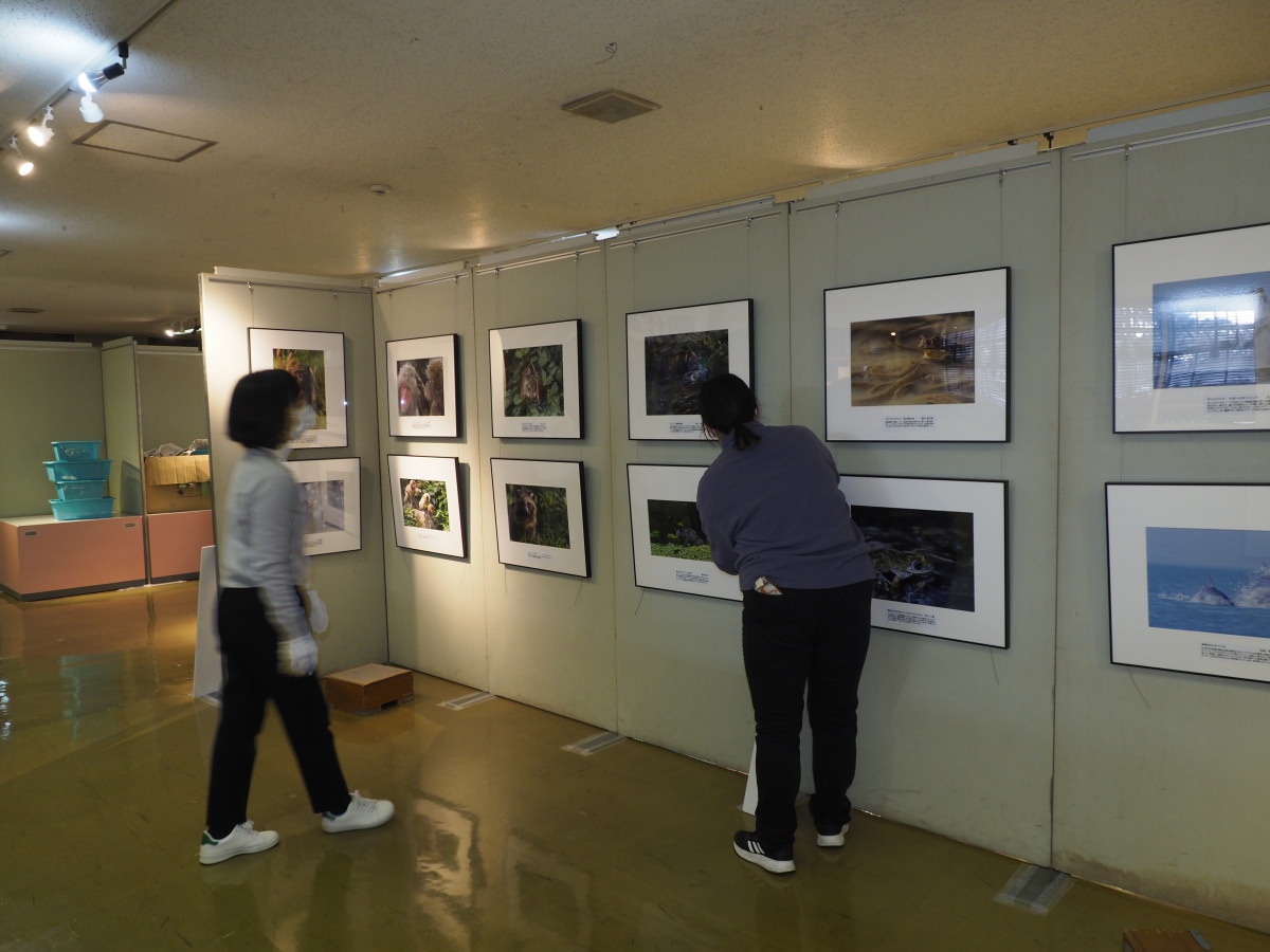 展示中の写真と、展示準備中の館の方々です。ご苦労さまでございます。