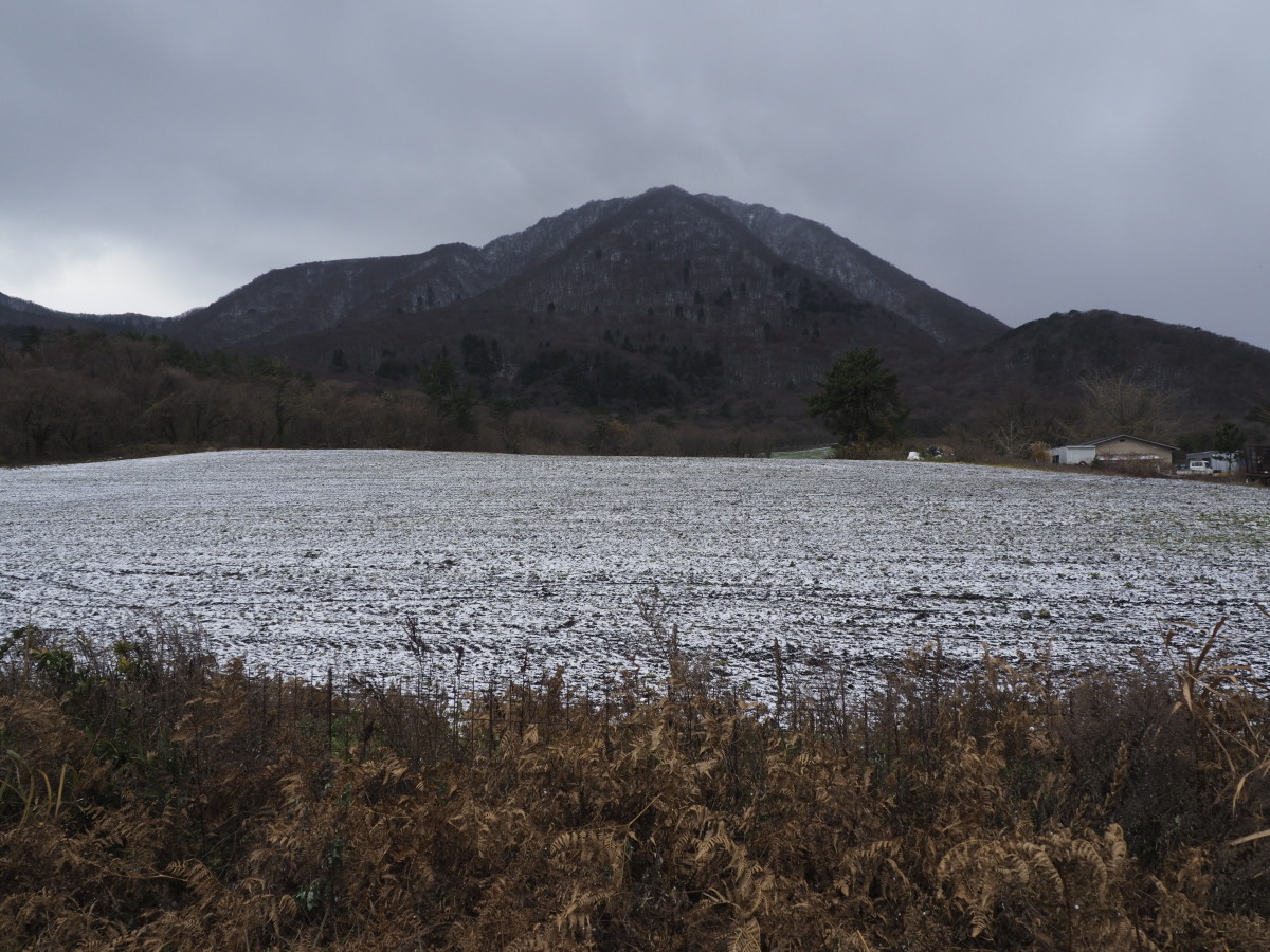 雪が薄化粧の三瓶山です。今年の記録では、この山中でも熊が確認されております。