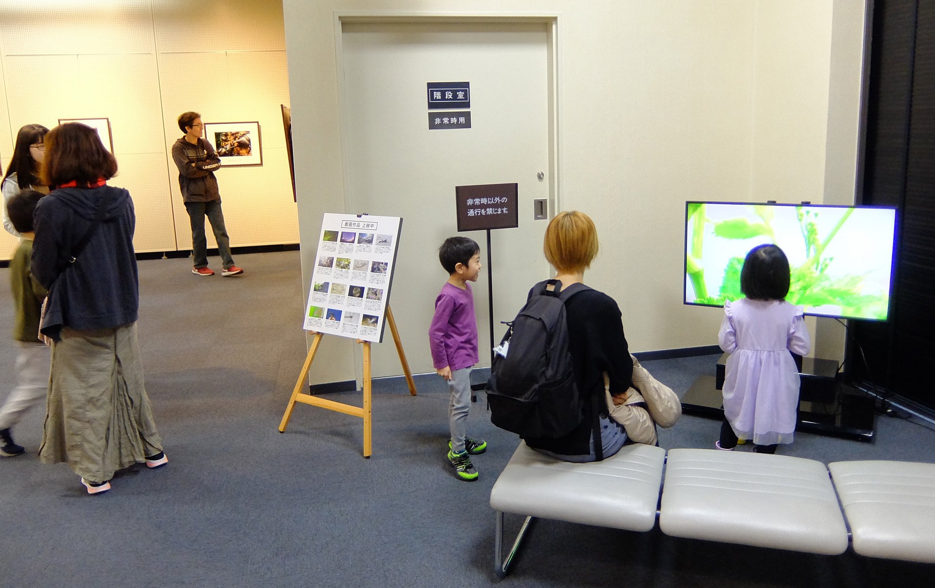 動画展示の様子