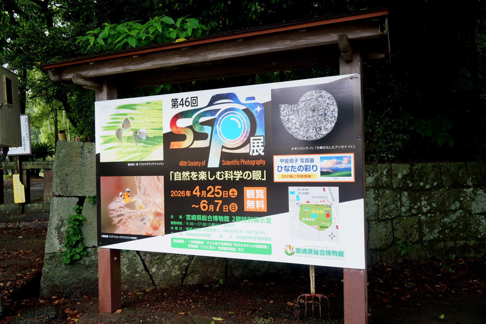 宮崎神宮東神苑