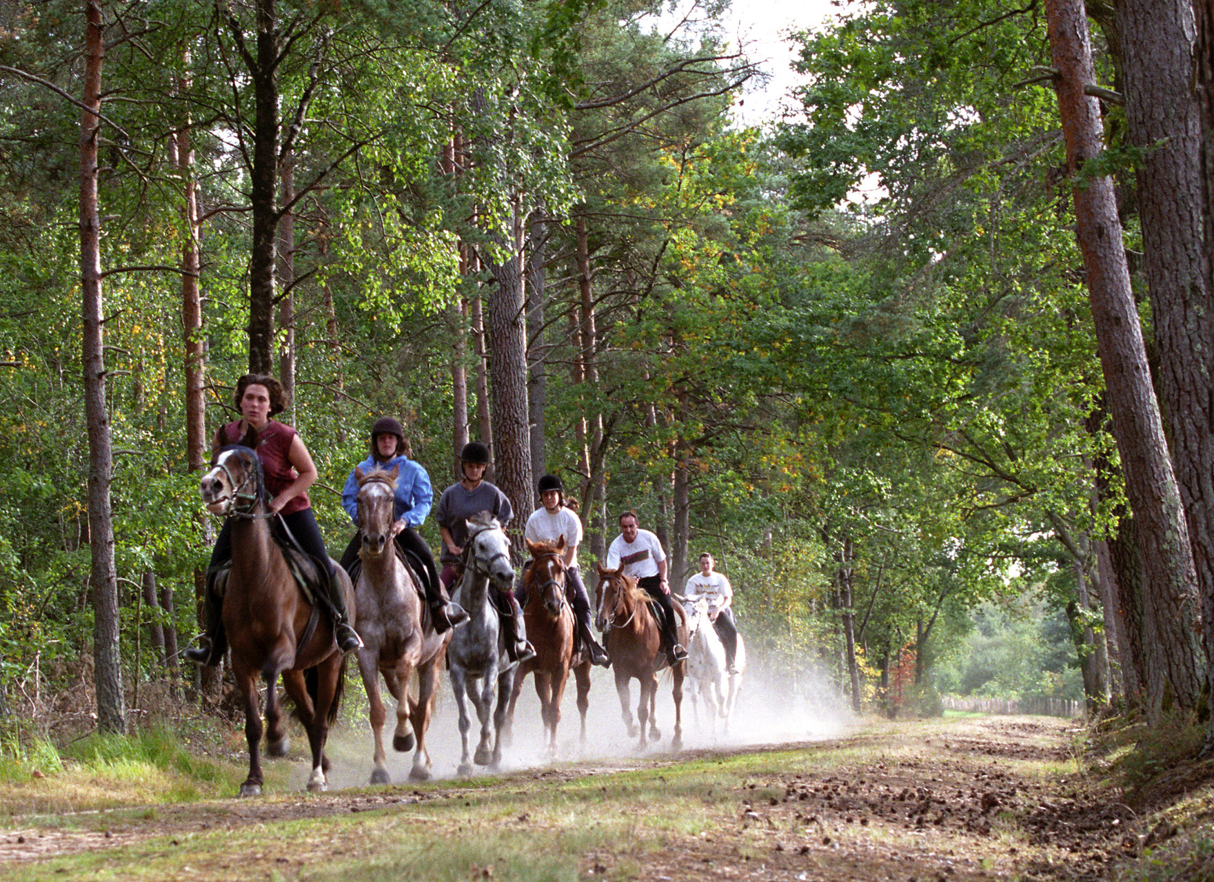 La forêt au p'tit galop pour les confirmés