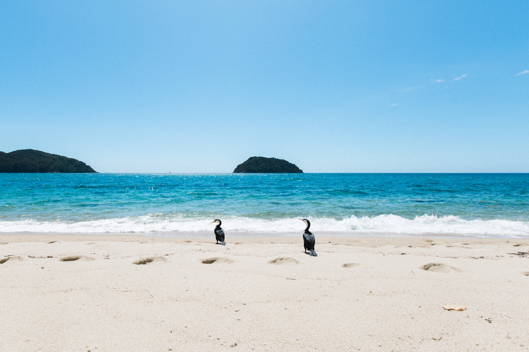 Abel Tasman National Park Tonga Bay