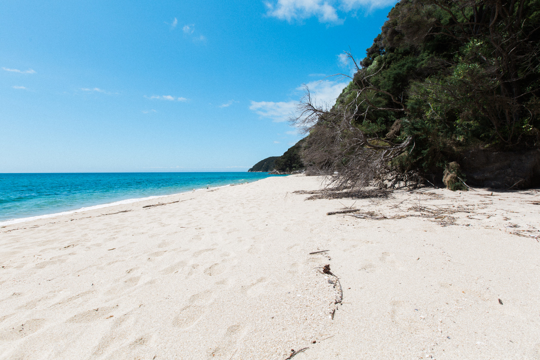 Abel Tasman National Park Tonga Bay