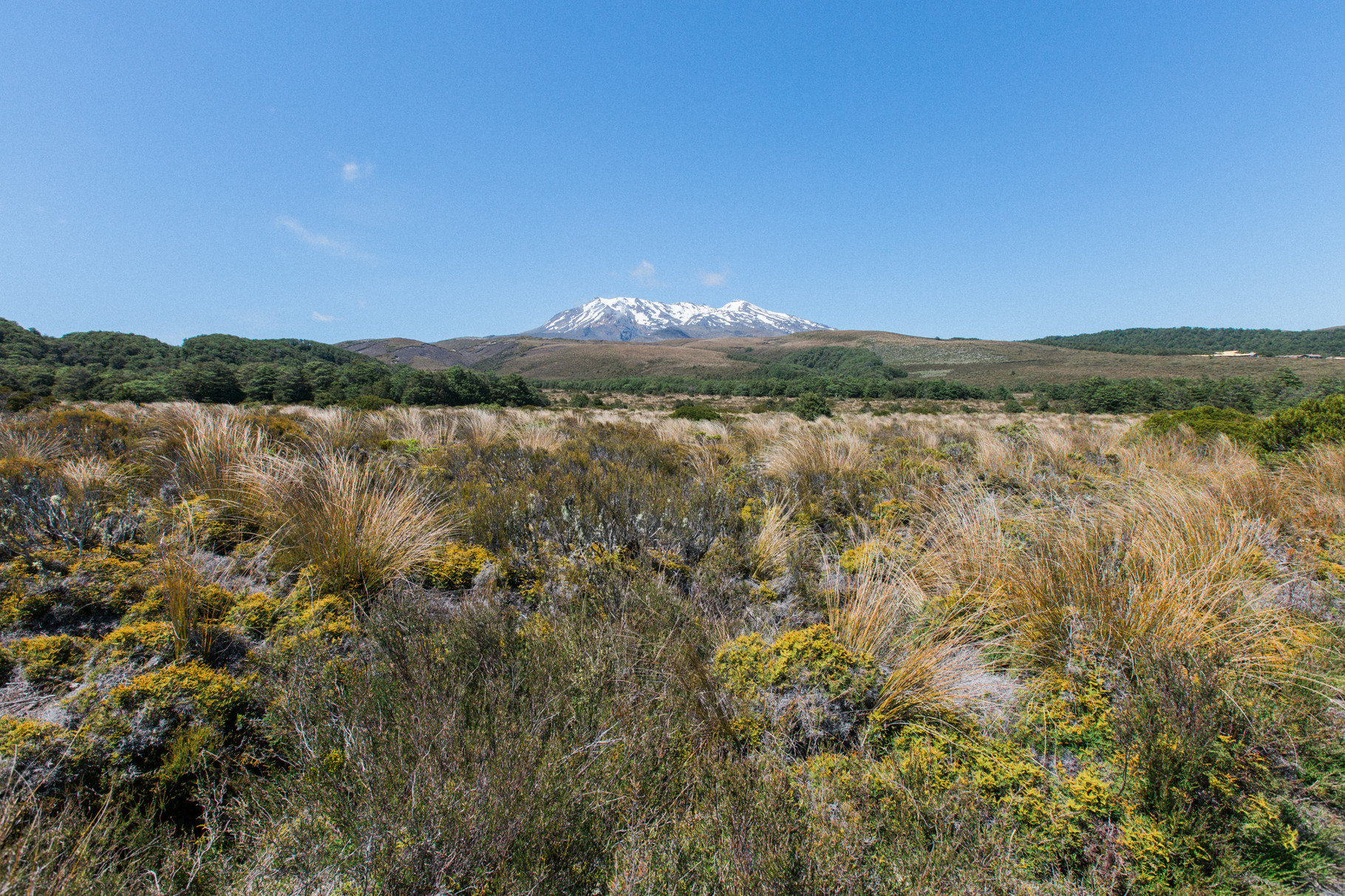 Tongariro National Park
