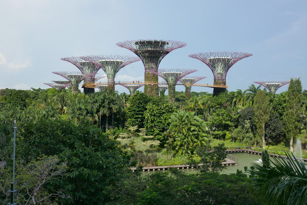 Supertrees - Gardens by the Bay - Singapur - travelumdiewelt.com
