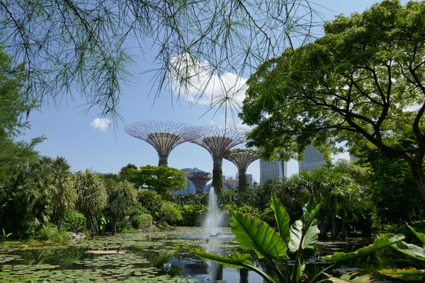 Supertrees - Garten der Zukunft - Singapur - travelumdiewelt.de