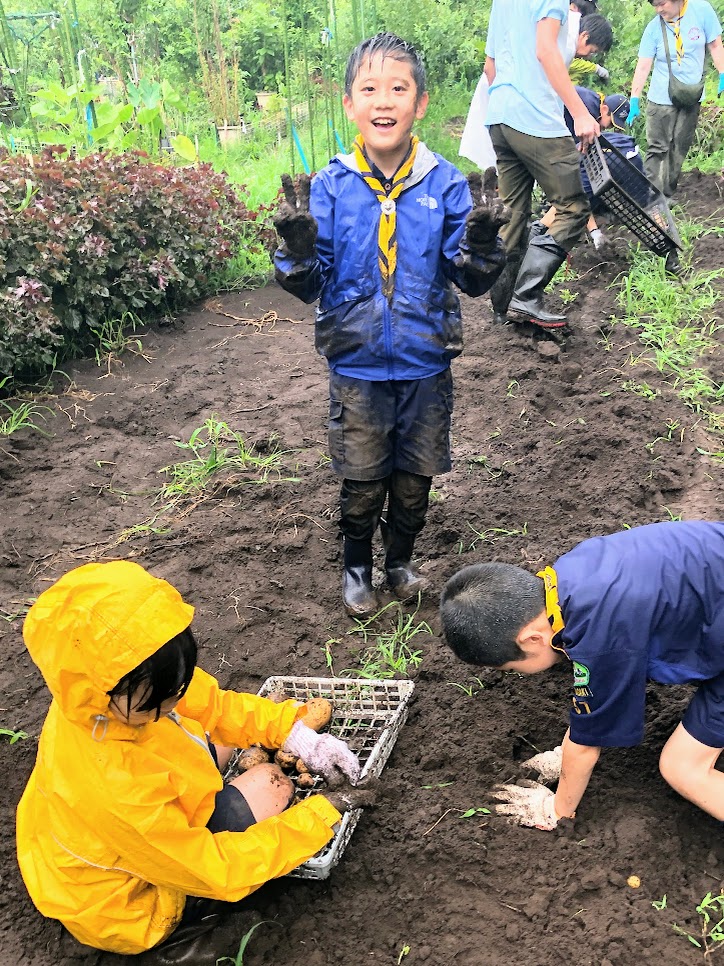 雨ニモマケズ、じゃがいも掘り！！
