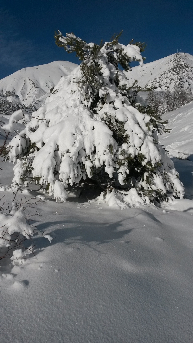 Site de pleine nature du Fanget, Négron et plateau d'Iroire, massif des Monges