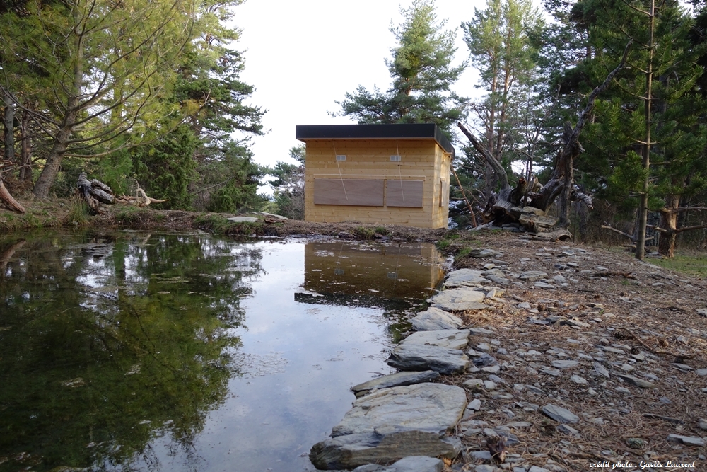 Mare et cabane d'observation de la biodiversité, gite du Cubertin