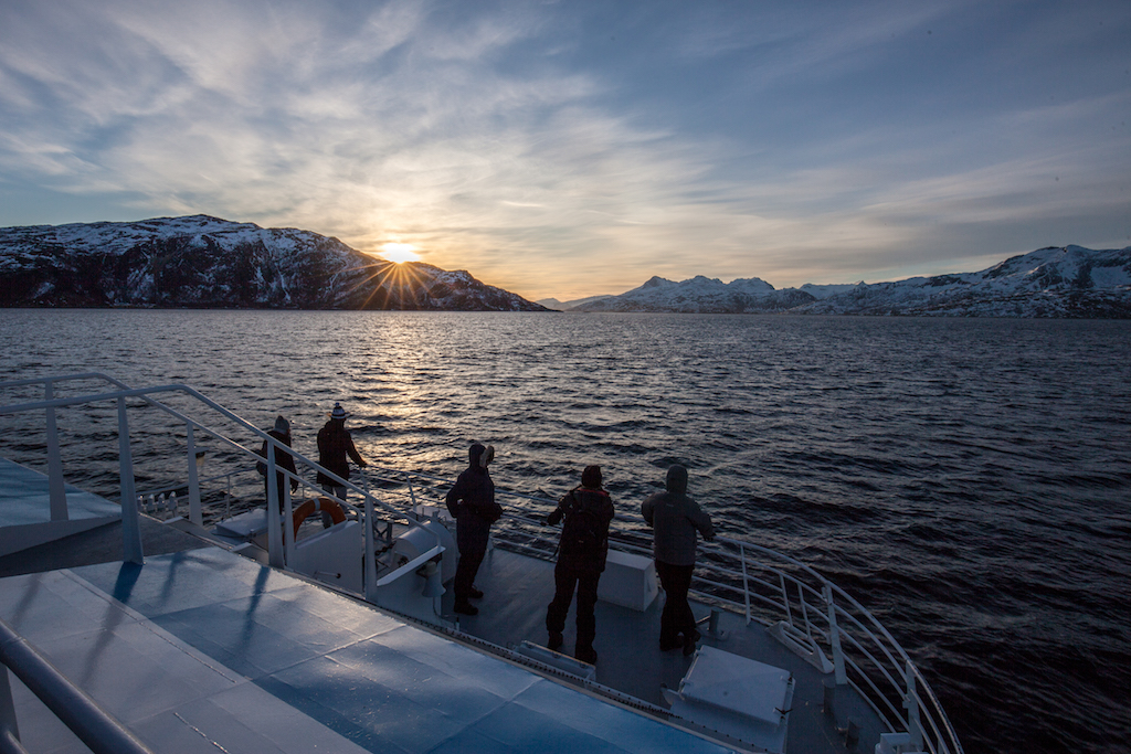 Tromsø Fjord Cruise: Lohnt sich die Fjord-Schifffahrt ab Tromsø?