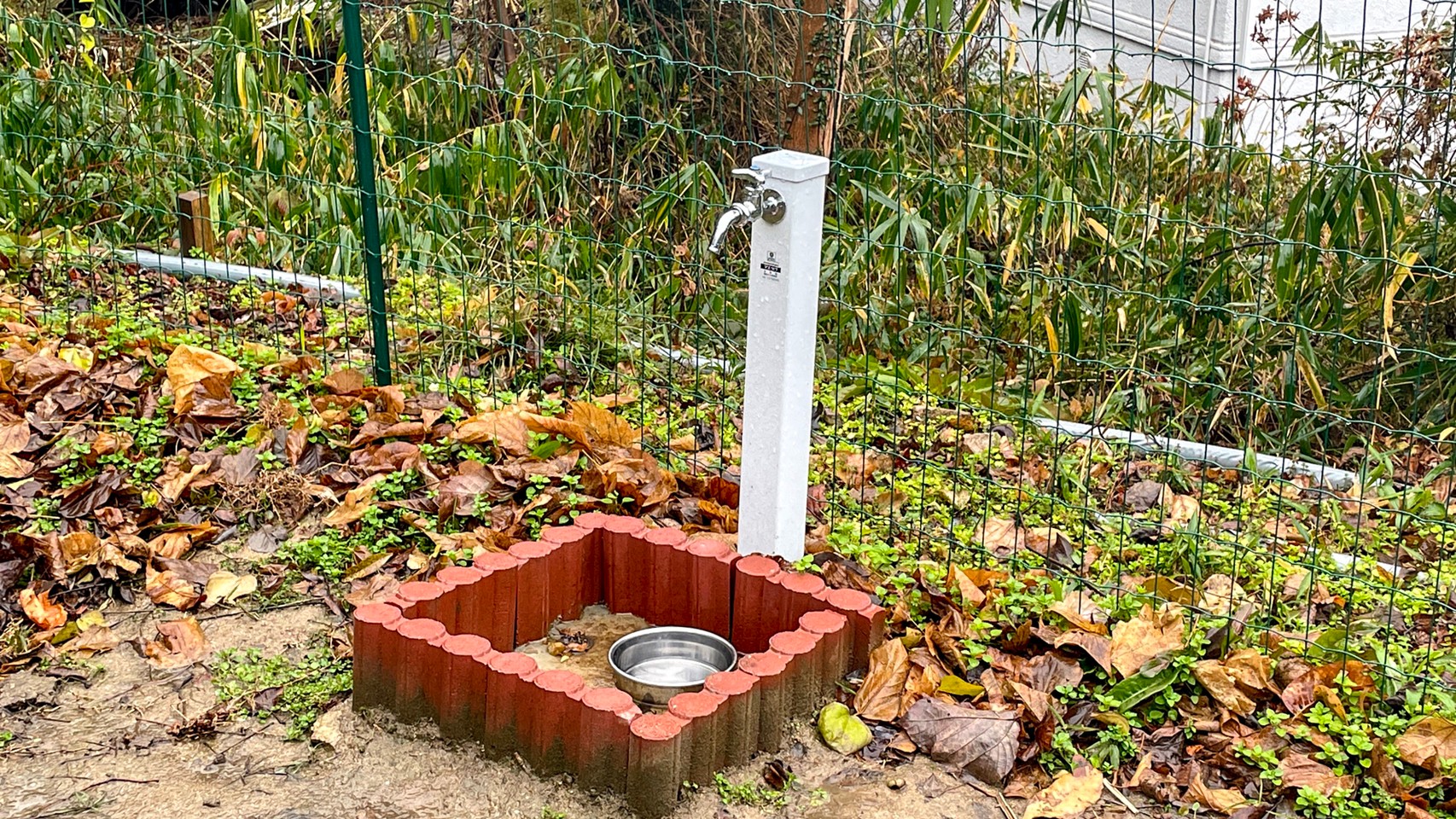 runの水飲み場