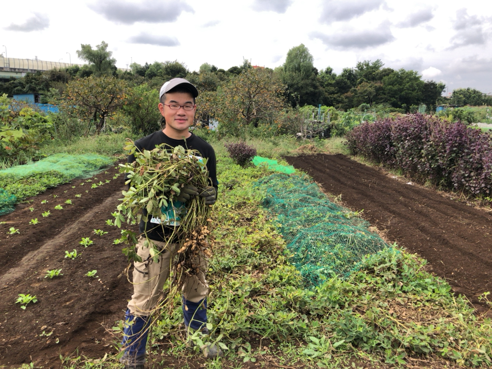 地場産！朝採り旬のお野菜１００円～♪ 2020/9