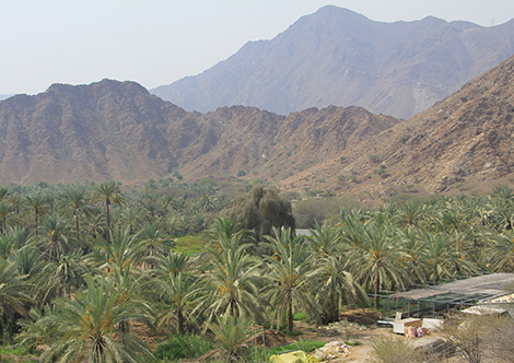 Al Aqah