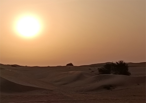 Sonnenuntergang in der Wüste