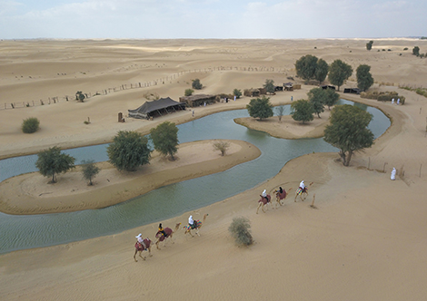 Al Marmoom Desert Conservation Reserve 