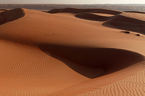 Dune Bashing