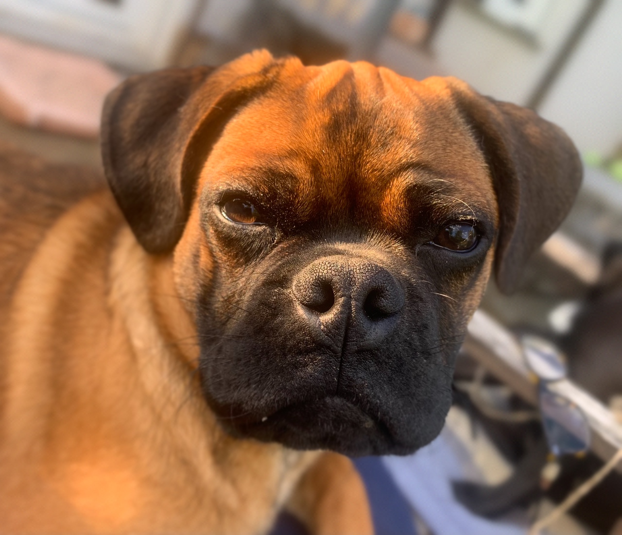 ….unser Sherry