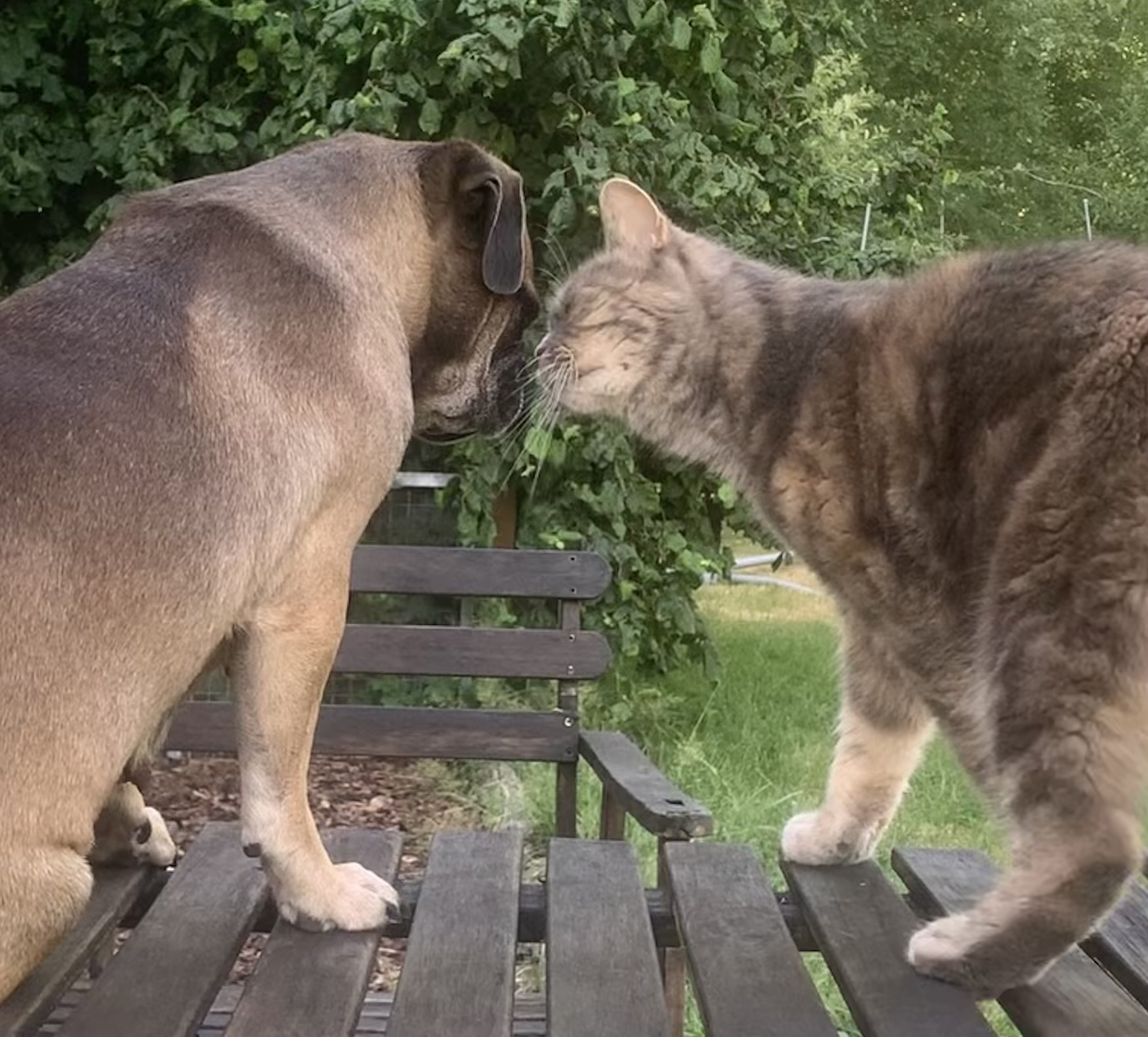 Tonka und Samantha