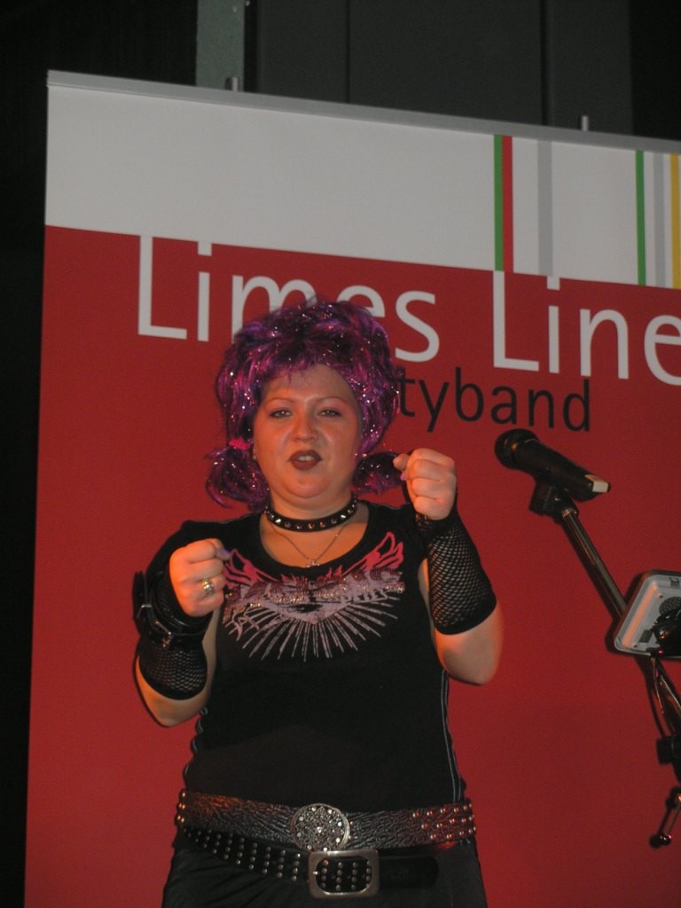 Fasching LIMES LINER