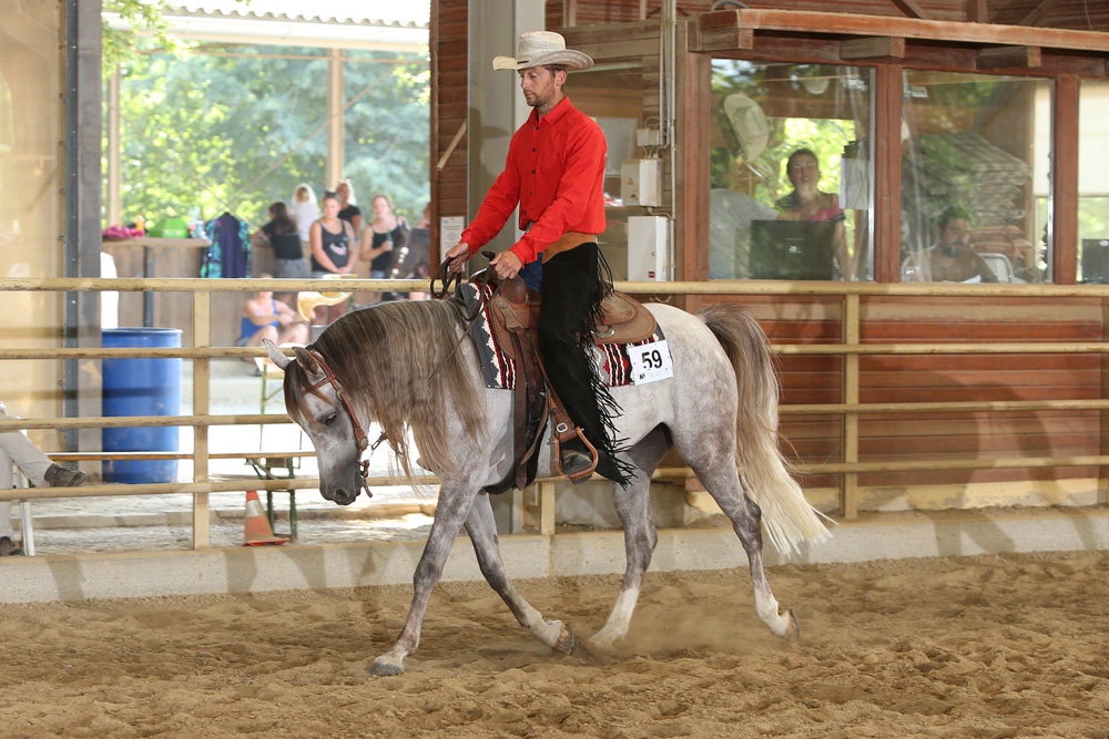 Reini Hochreiter und GFH Eniya: Zweimal ECAHO High Point Horse 2021