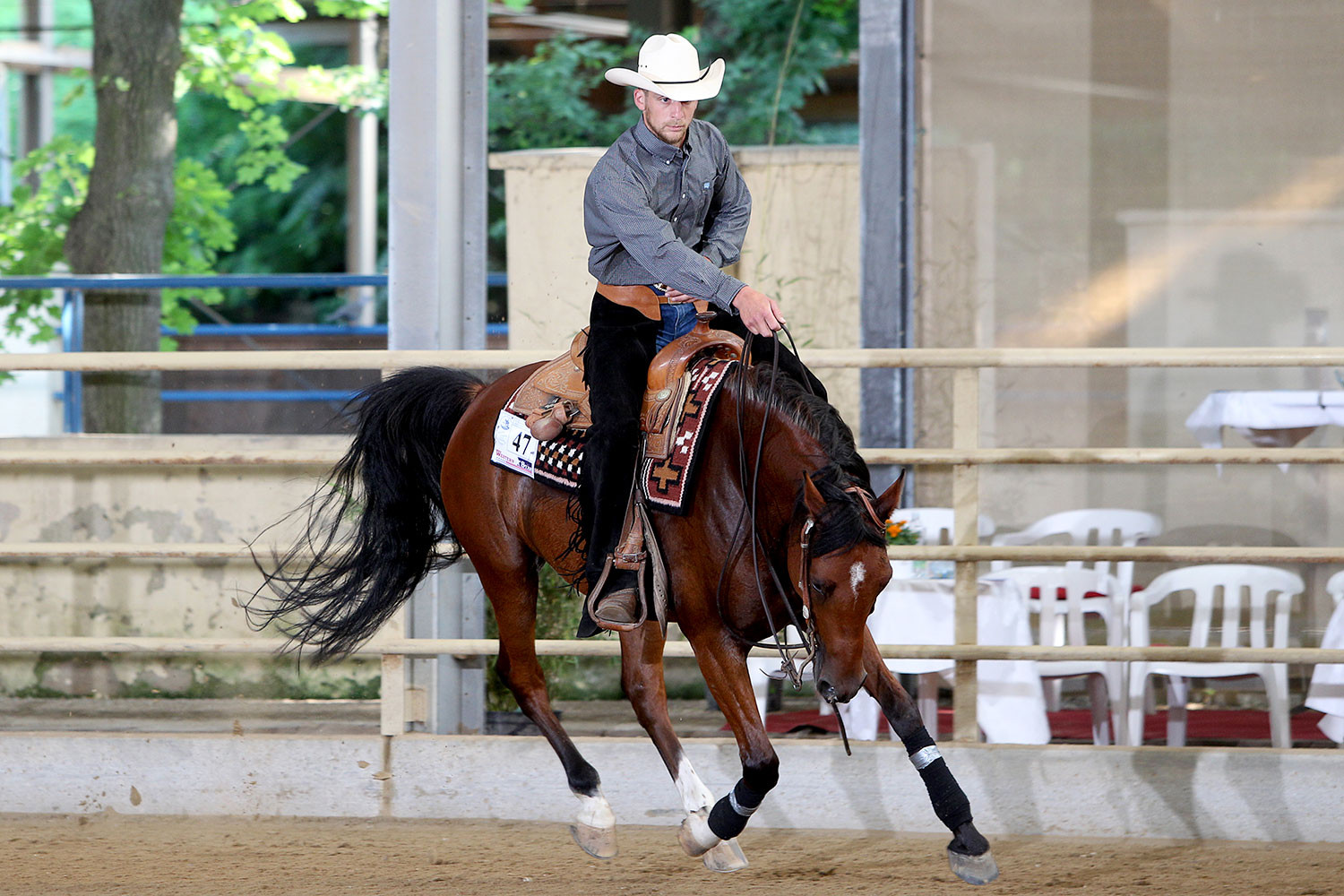 Reinhard Hochreiter und GFH Maruan sind Internationale Niederösterreichische Vize-Landesmeister Reining Open Vollblutaraber. Foto: CK Photographics