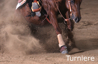 Reinhard Hochreiter stellt Reining-Pferde auf Turnieren vor und coacht Reining-Reiter auf Turnieren.