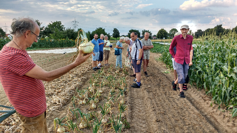 Auf dem Feld