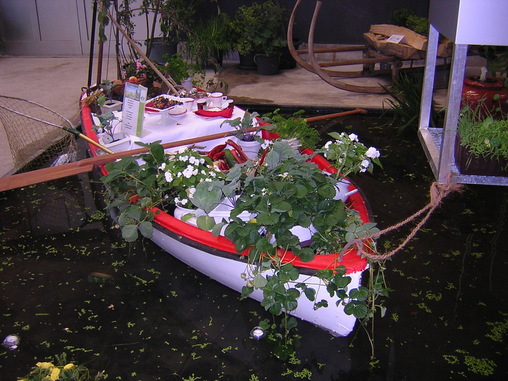 Landesgartenausstellung Ansfelden 2011