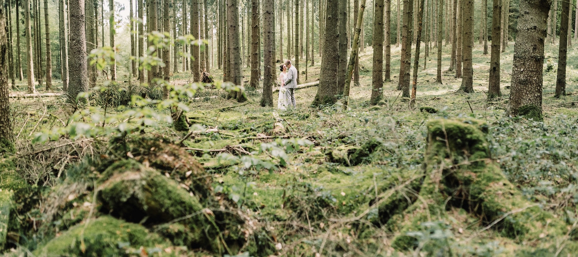 Ein Traupaar in unweiter Ferne im Wald, Moos im Vordergrund des Bildes
