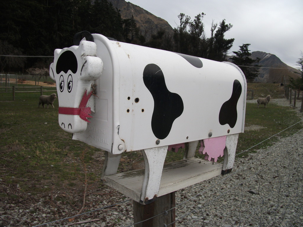 Walter Peak farm mailbox