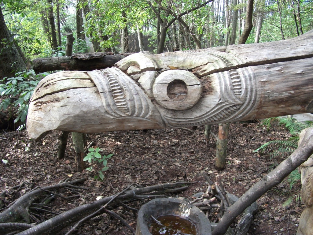 Kiwi wildlife park - Maori carving