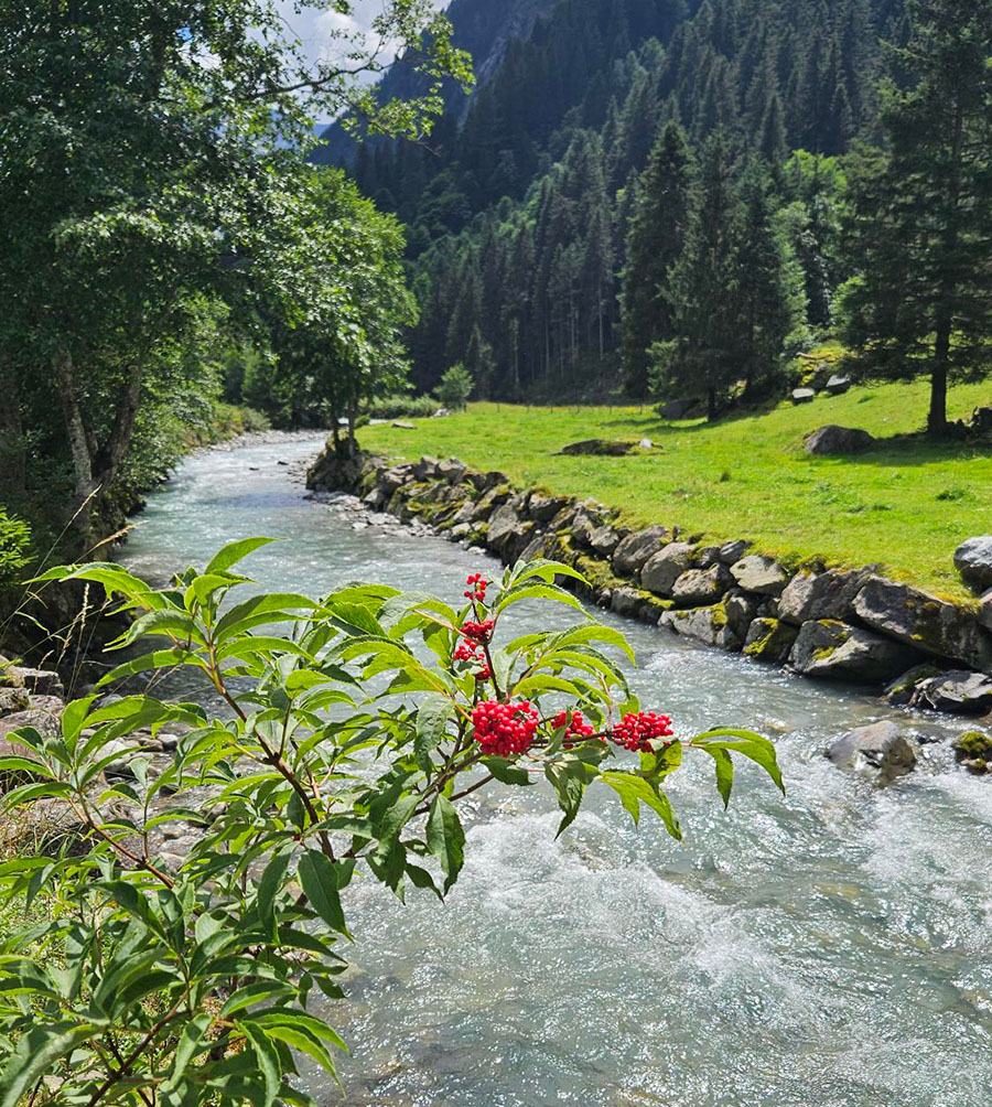 5 Mini-Rituale, die Dich vor dem Durchbrennen bewahren