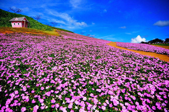 今週の予想レンジ 日経225先物の 予想レンジ と 売買シグナル