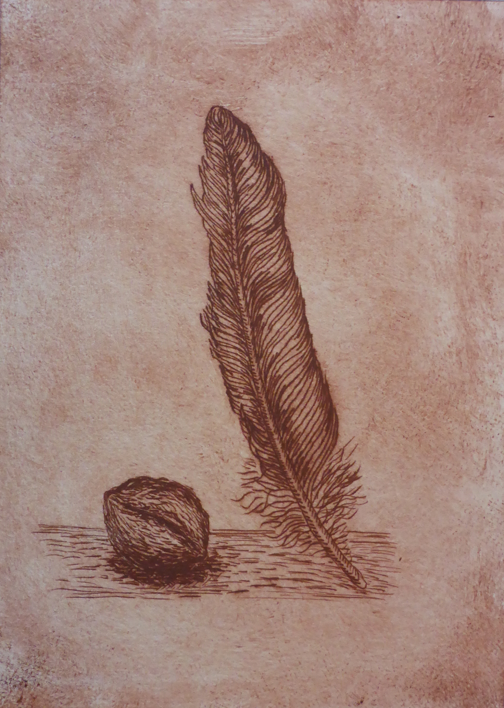 "Feather and nut I", 2018, drypoint on paper, 15 x 21 cm