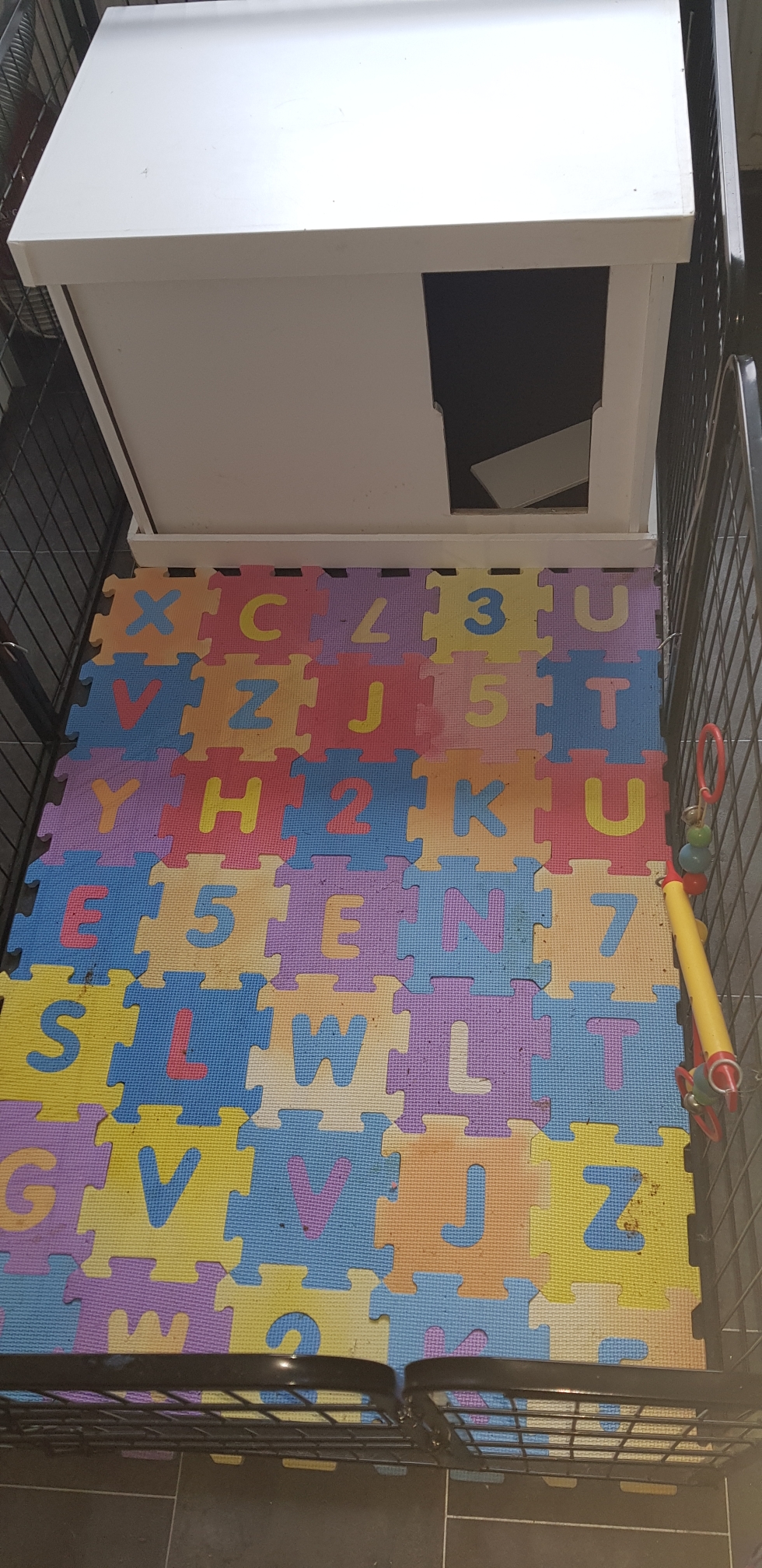 Wurfbox 2.... Gracys neue Wohnung