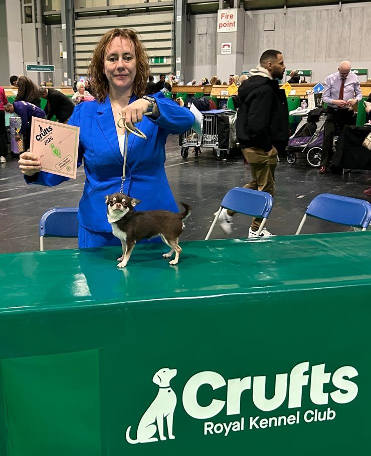 Nastja-Michaela von Kühnen Mutes ❣️ Plaziert auf der Crufts 2026🏆 Platz 5