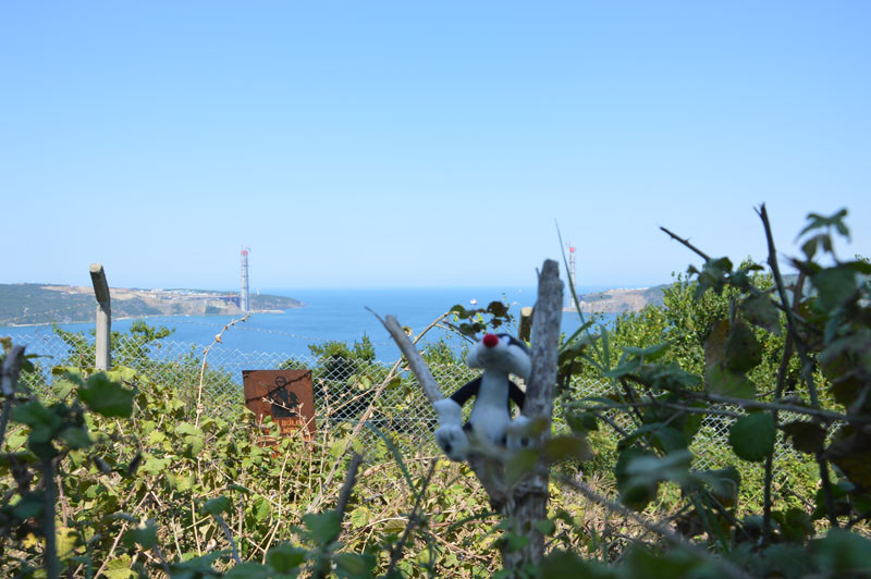 Black sea