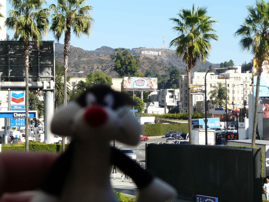 hollywood