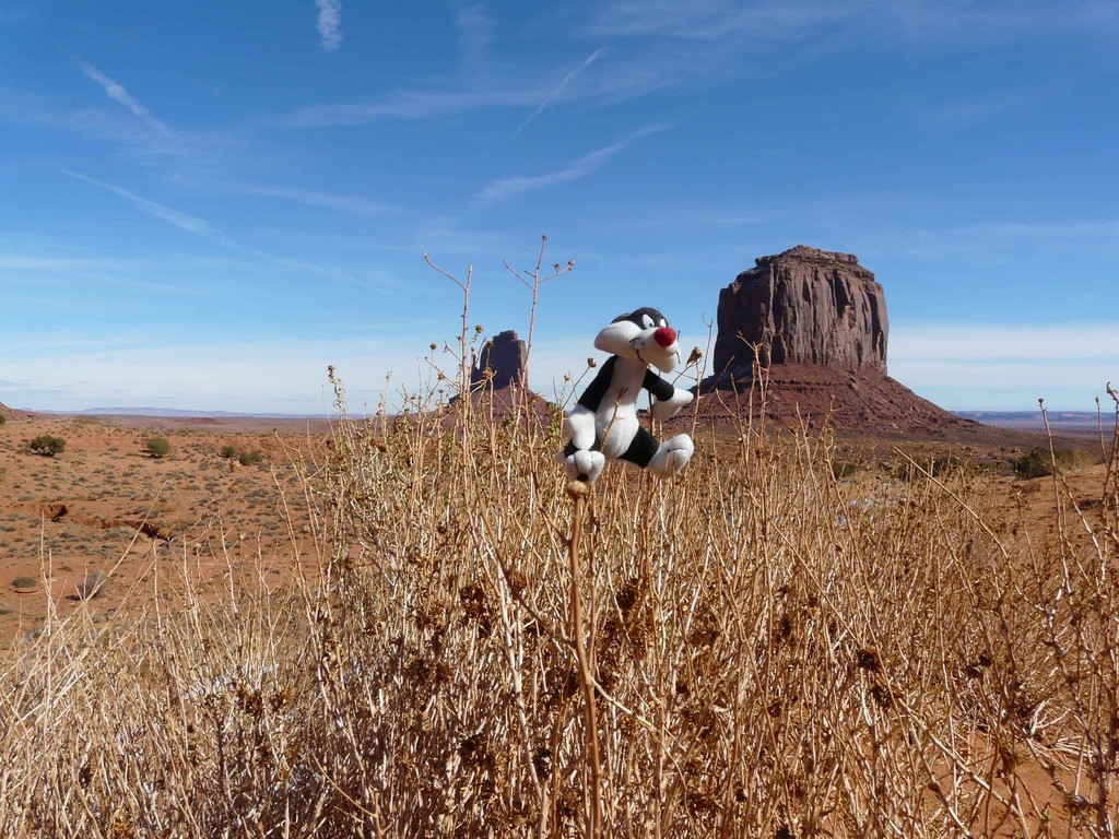 monument valley