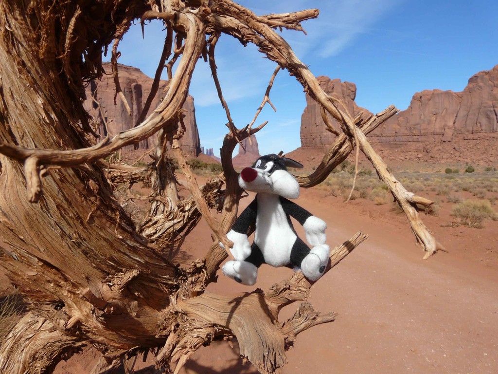 monument valley