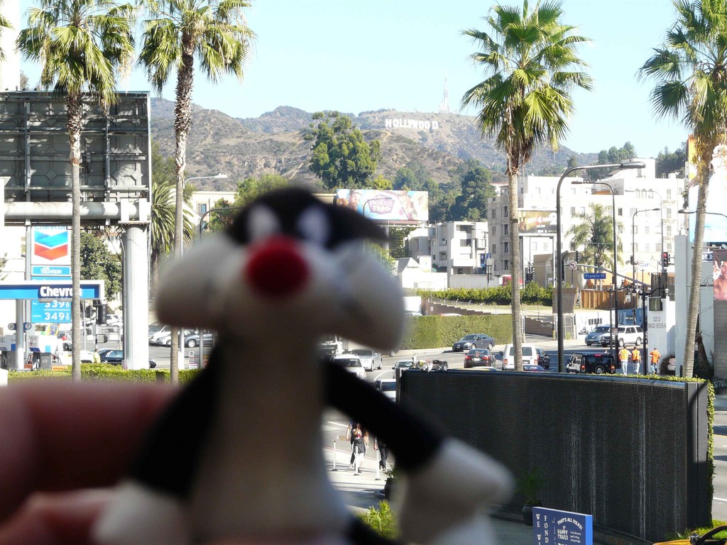 hollywood