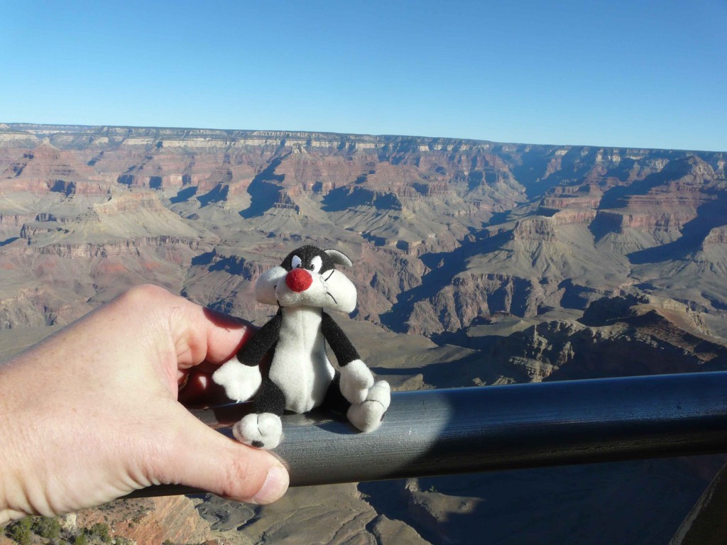 grand canyon
