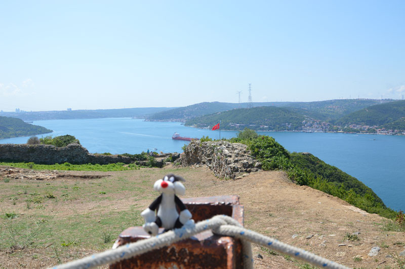 Bosphore near black sea