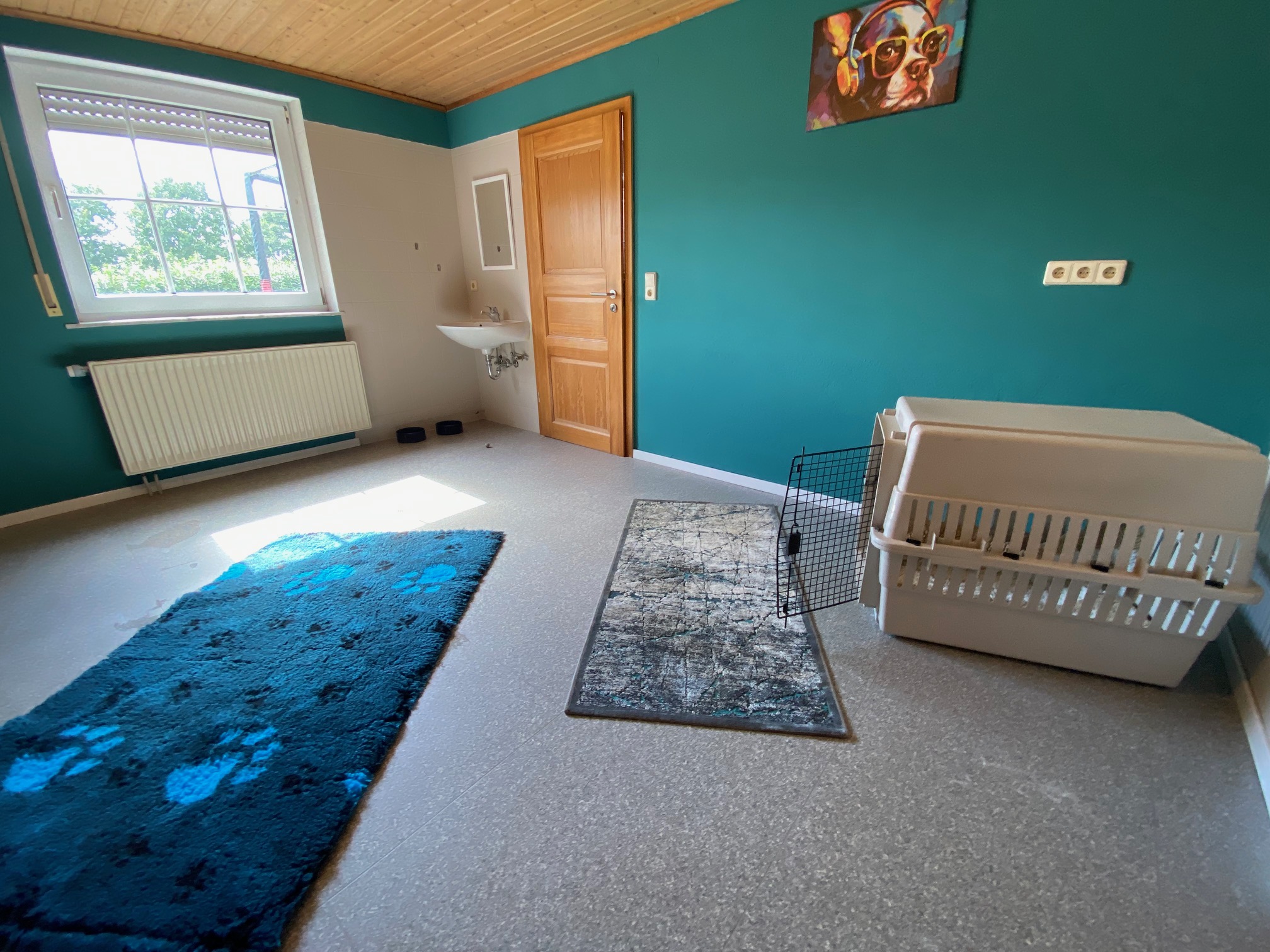 Hundepension