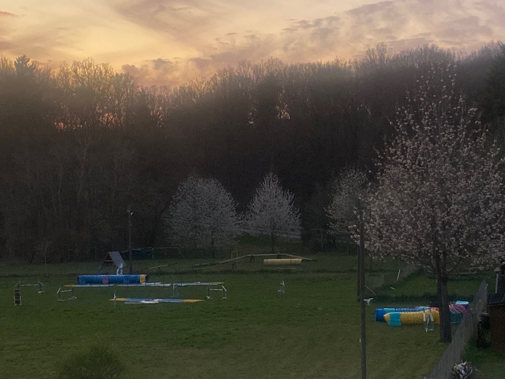 Trainingsgelände Bergweiler